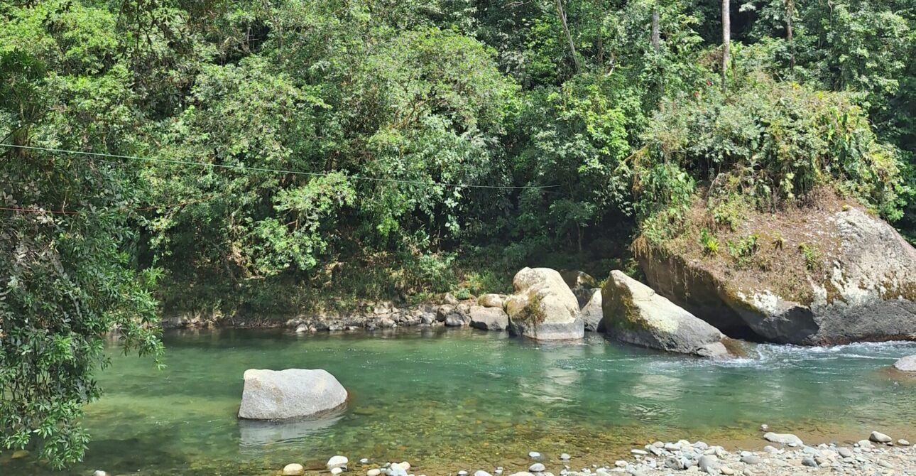 Un día en el río Pejibaye: qué llevar y cómo disfrutarlo